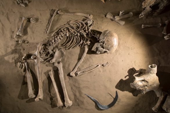 Vikingaanval: Skelet van een vrouw, topstuk, topstukken, Stedelijk Museum Zutphen, Musea Zutphen, Hof van Heeckeren